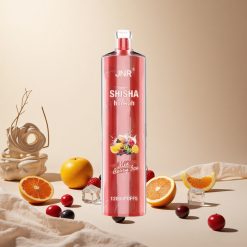 Berry Ice JNR Shisha Hookah 12000 Puffs 24ml wholesale vapes Ireland Type-C fast charging