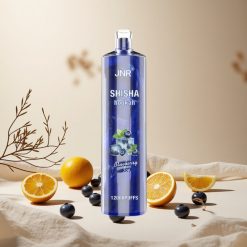 Blueberry Ice JNR Shisha Hookah 12000 Puffs wholesale vapes Ireland Type-C Fast Charging