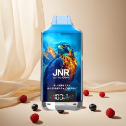 Blueberry Raspberry Cherry JNR Falcon X 18000 Puffs wholesale vapes Ireland Dual Mesh Coil