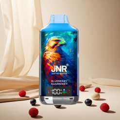 Blueberry Raspberry JNR Falcon X 18000 Puffs Dual Mesh Coil wholesale vapes Ireland