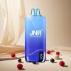 Blueberry Raspberry JNR Rainbow 10500 Puffs Disposable Vape wholesale vapes Ireland USB Type-C Charging
