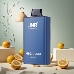 Mr Blue JNR Mega Box 25000 Puffs wholesale vapes Ireland Dual Mesh Coil