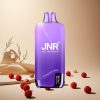 Raspberry Grape JNR Rainbow 10500 Puffs wholesale vapes Ireland USB-C Charging